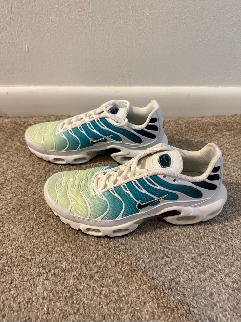 Nike Air Max Plus Teal and Lime Gradient Sneakers